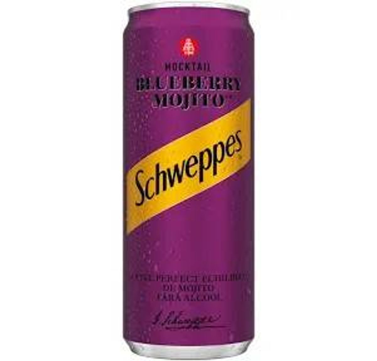 Schweppes Blueberry Mojito